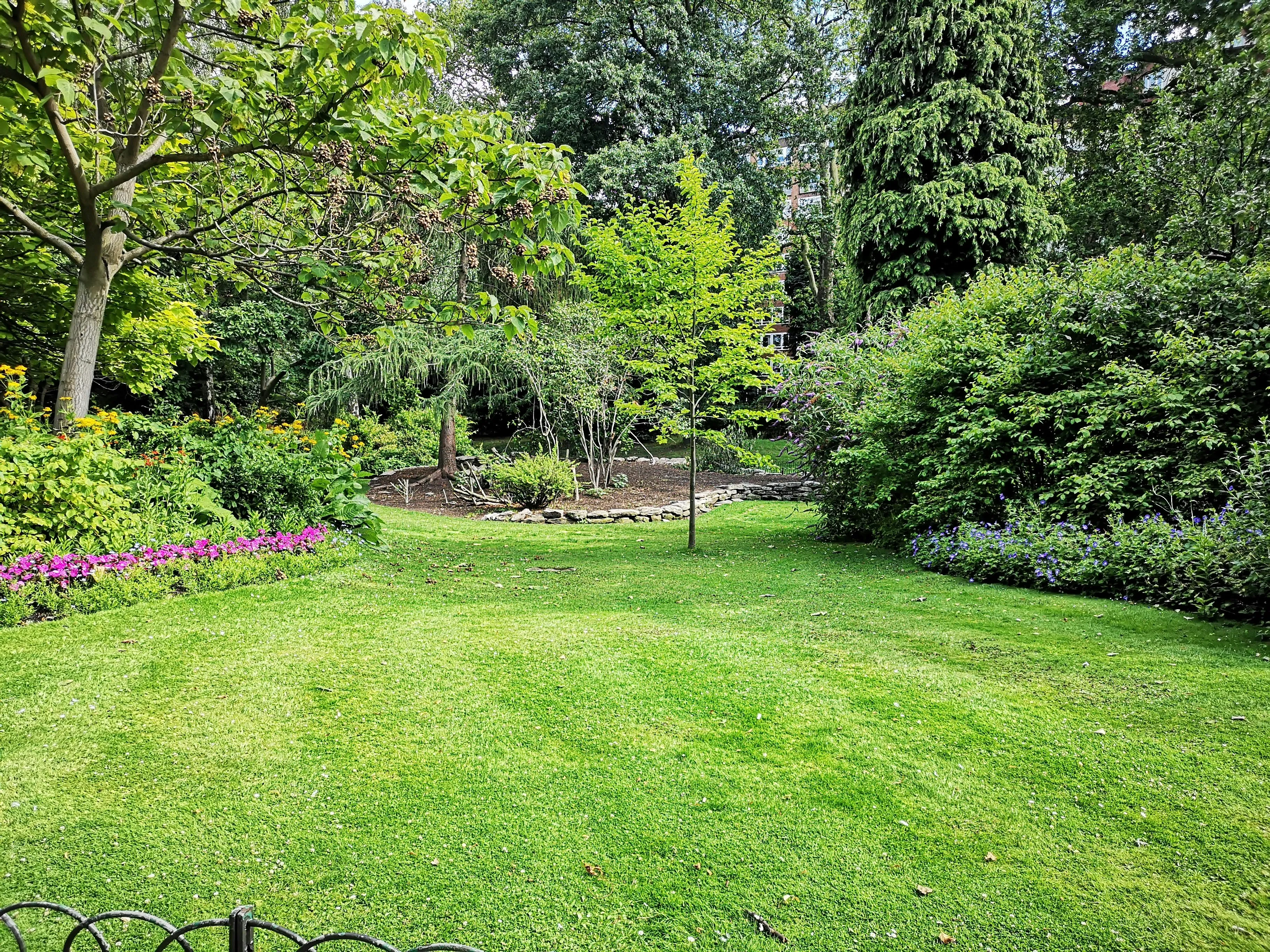 Finished landscaped garden project with layered planting