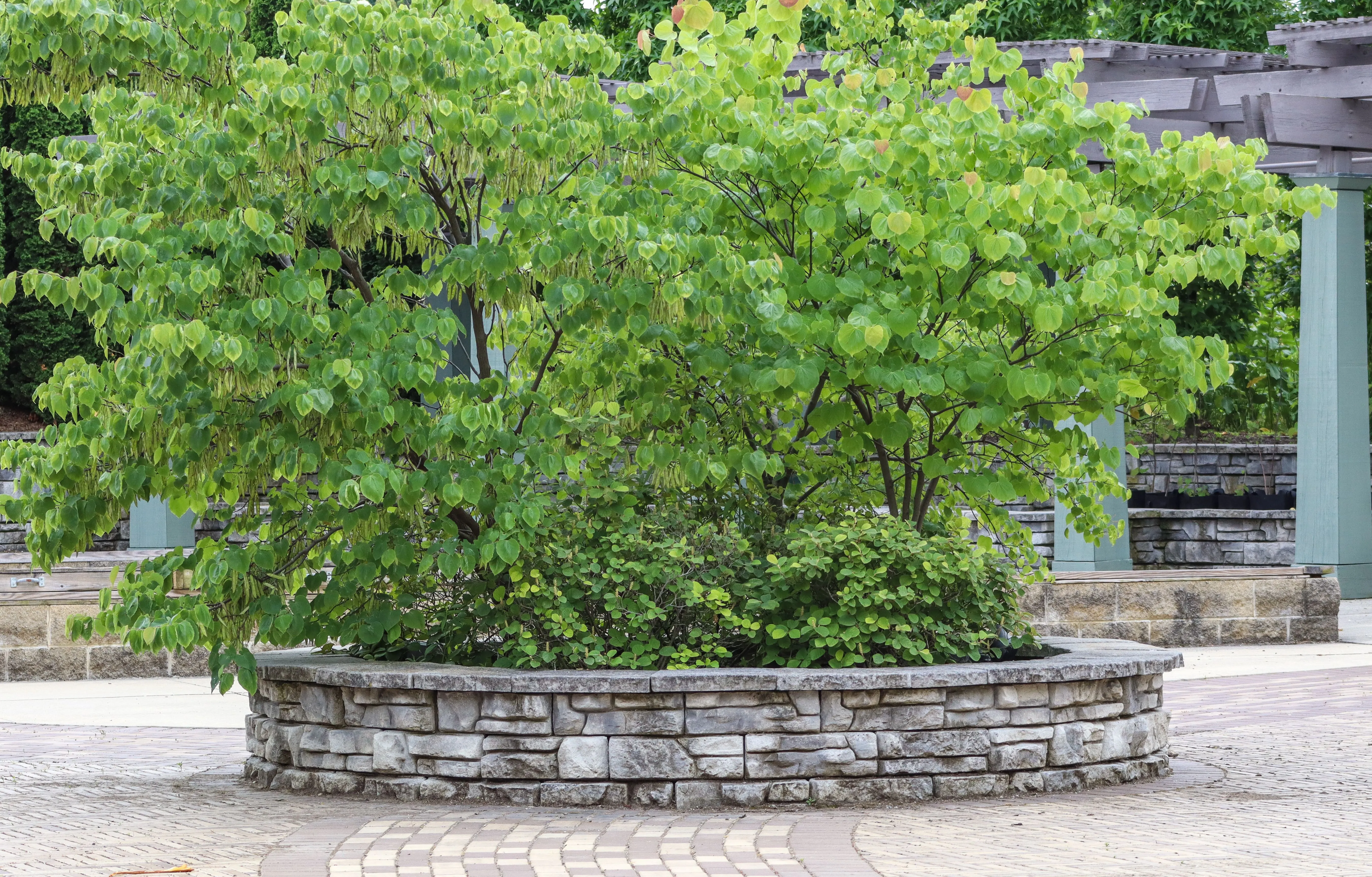 Landscaped outdoor hardscaping and patio area