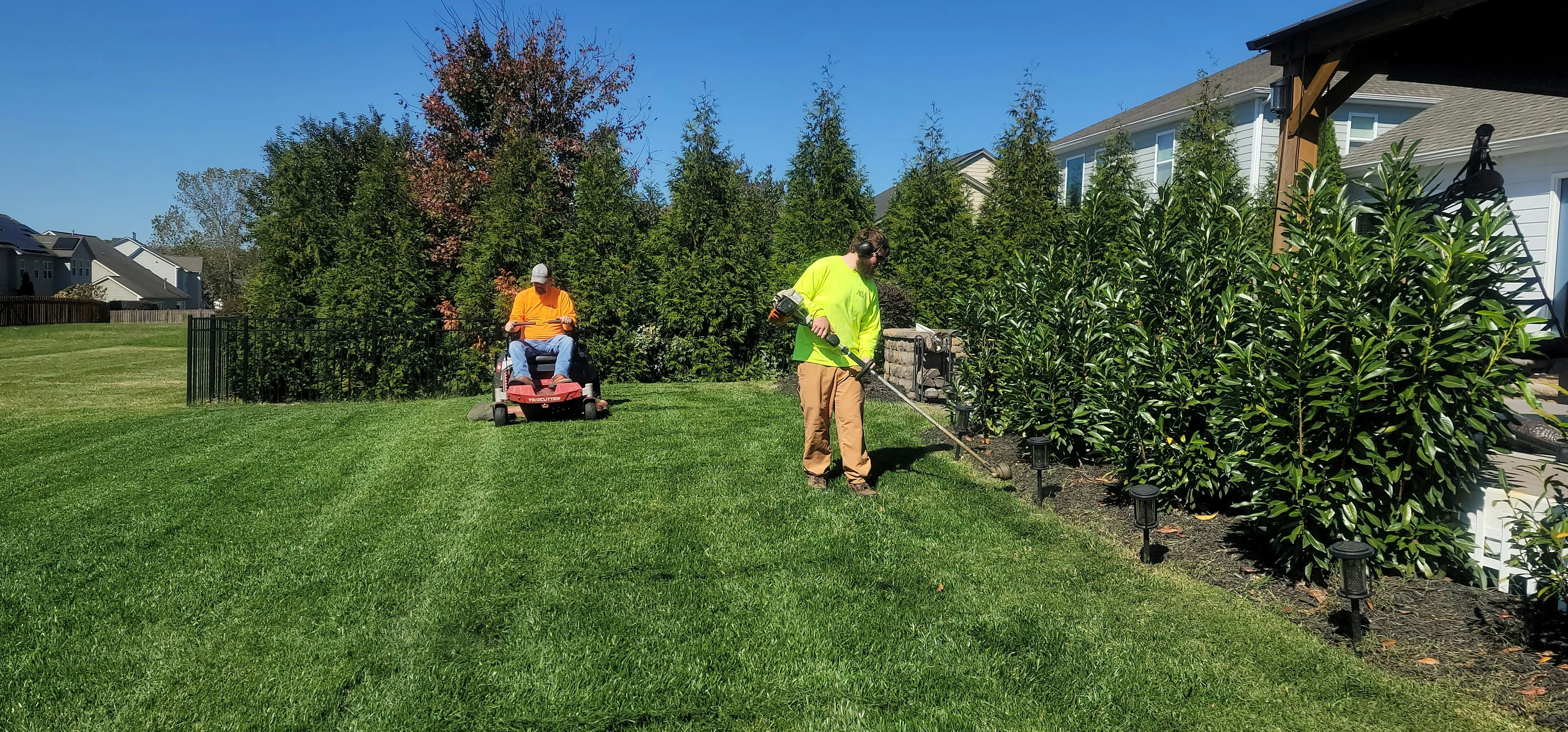 Professional landscape maintenance